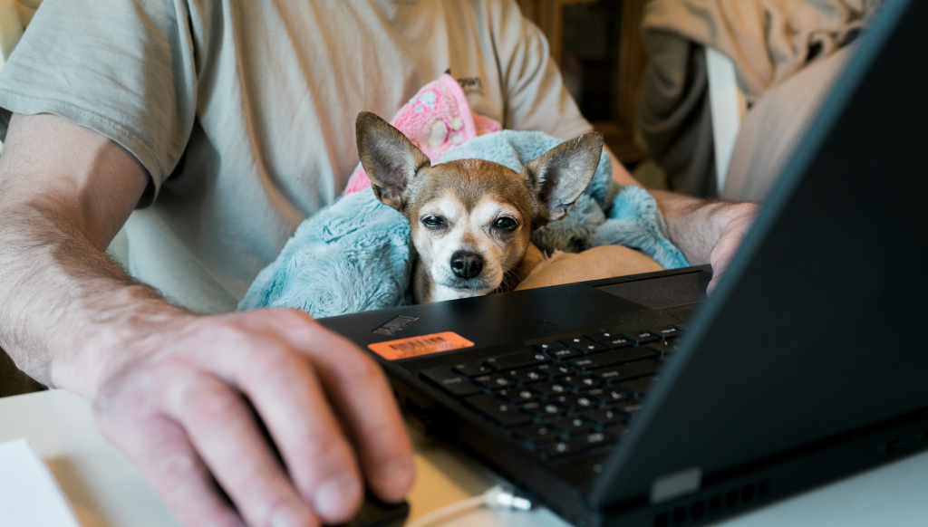 Captura de pantalla 2020-04-30 11