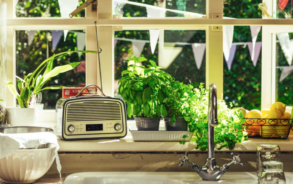 Captura de pantalla 2020-07-15 20